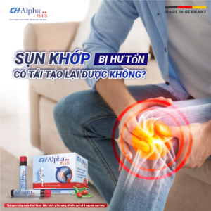 Anh 02 (20)