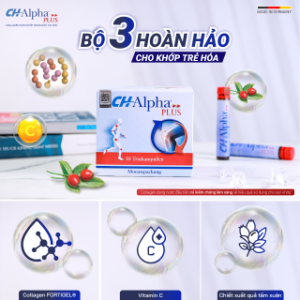 Anh 05 (3)