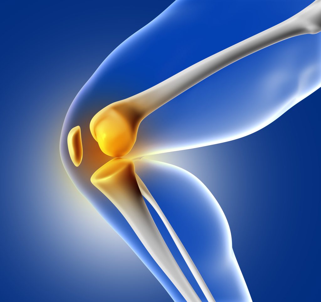 3d Blue Medical Image Of Knee Bone