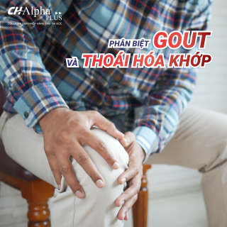 PH N BIỆT GOUT VÀ THOÁI HÓA KHỚP: BÍ QUYẾT CHĂM SÓC SỨC KHỎE KHỚP ĐÚNG ĐẮN