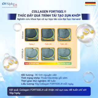 COLLAGEN FORTIGEL® THÚC ĐẨY QUÁ TRÌNH TÁI TẠO SỤN KHỚP