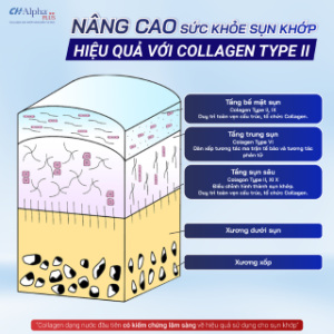 N NG CAO SỨC KHỎE SỤN KHỚP HIỆU QUẢ VỚI COLLAGEN TYPE II)