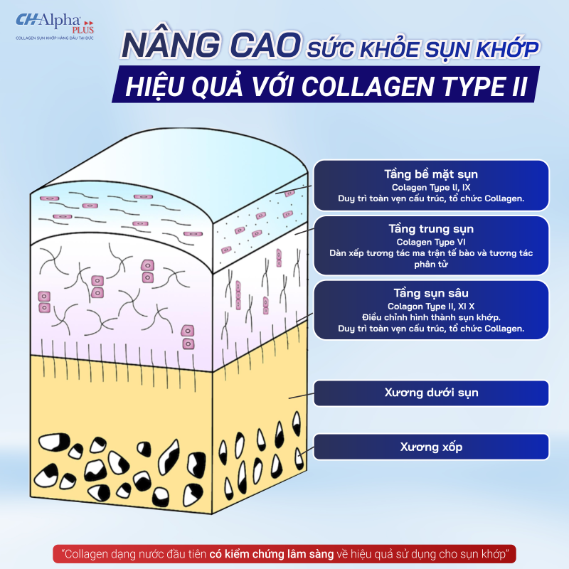 Anh 01 34