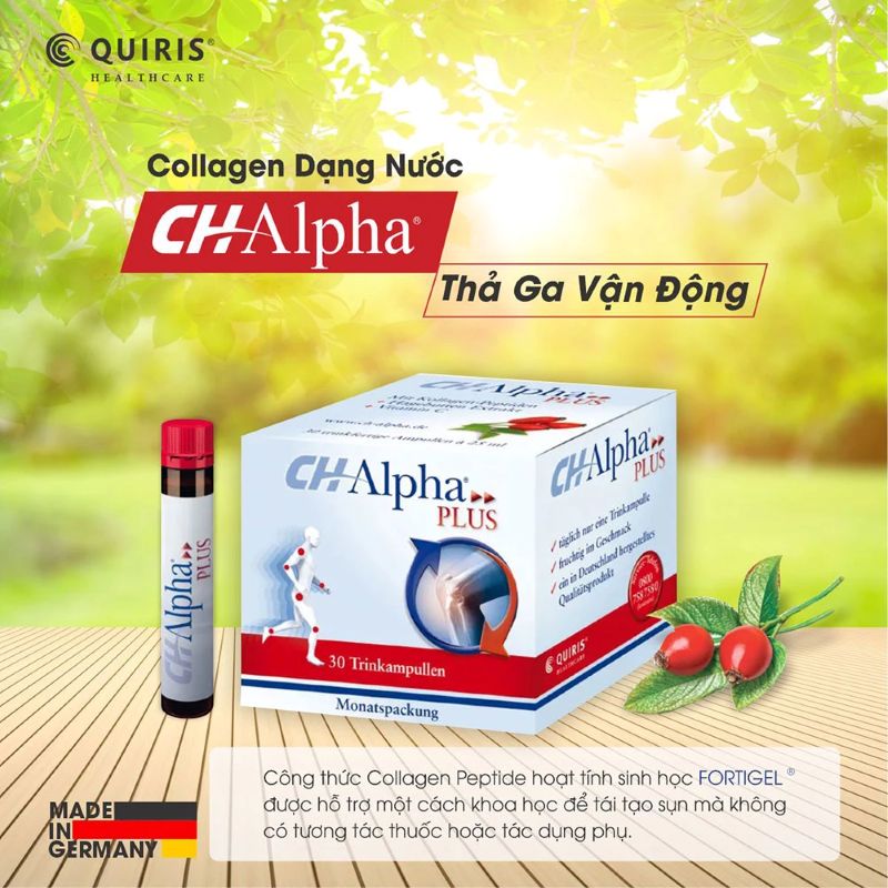 gợi ý cách mua collagen ch alpha
