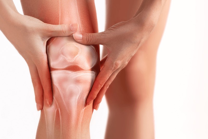 vai trò của sụn khớp