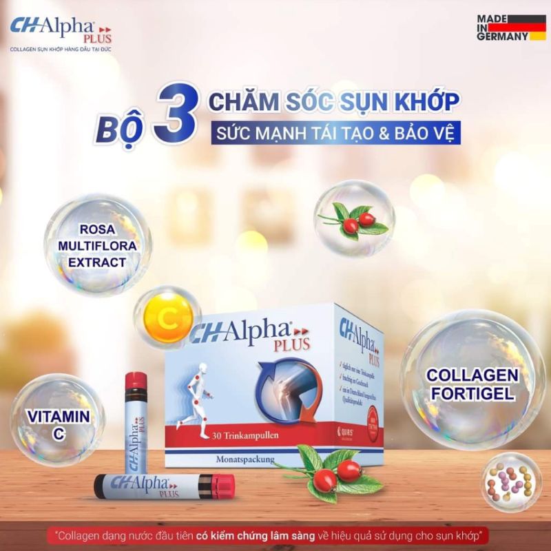 review collagen ch alpha plus