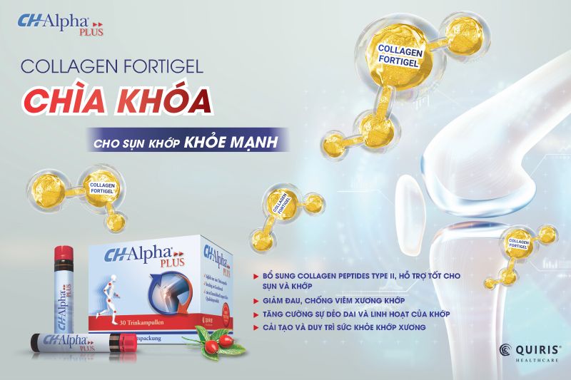Chiết xuất vỏ tầm xuân có trong collagen CH-Alpha Plus