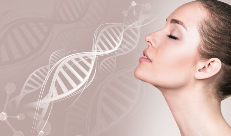 vai trò của collagen