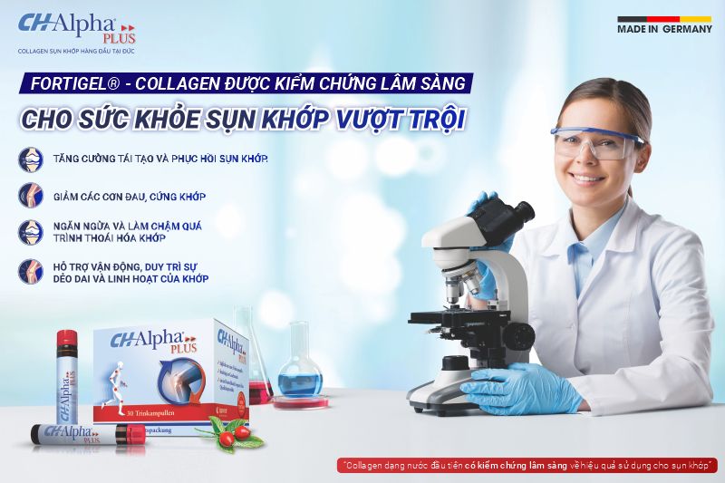 bổ sung collagen sụn khớp với ch alpha plus