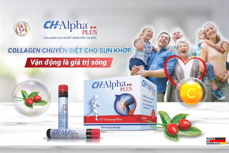 collagen sụn khớp