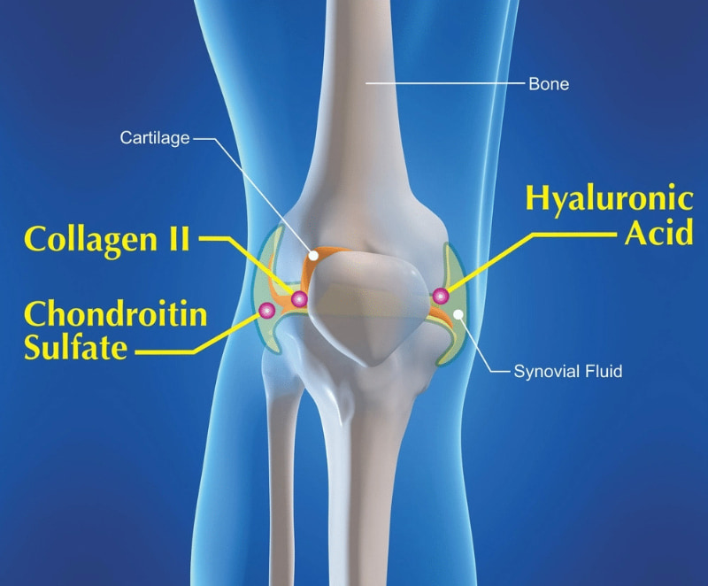 collagen sụn khớp