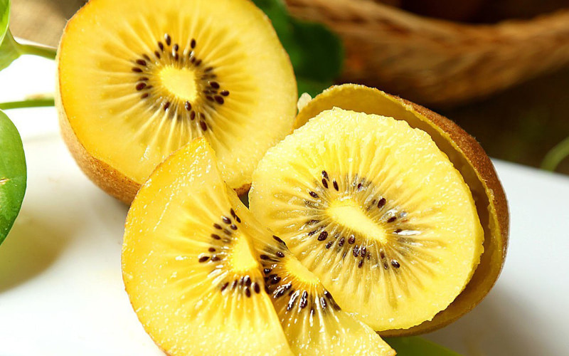 collagen type 2 có ở đâu