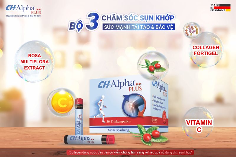 collagen peptides type 2 ch alpha plus