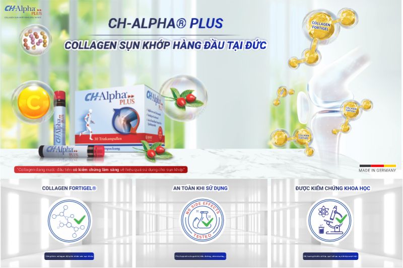 collagen sụn khớp ch alpha plus