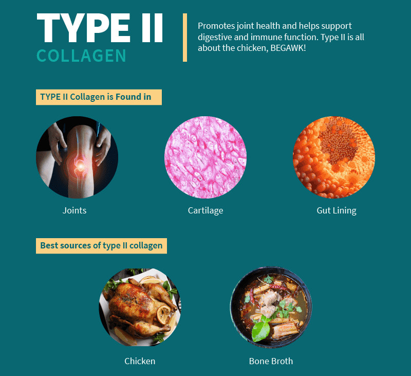 Collagen type 2