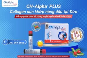 Công dụng của CH-Alpha Plus được đánh giá cao từ người dùng