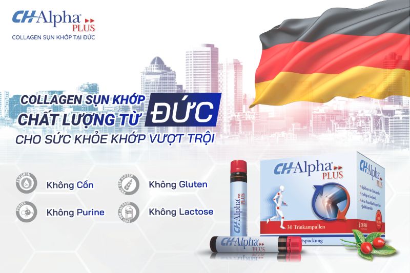 thực phẩm chức năng hỗ trợ tái tạo sụn khớp
