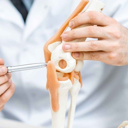giải đáp sụn khớp có tái tạo được không