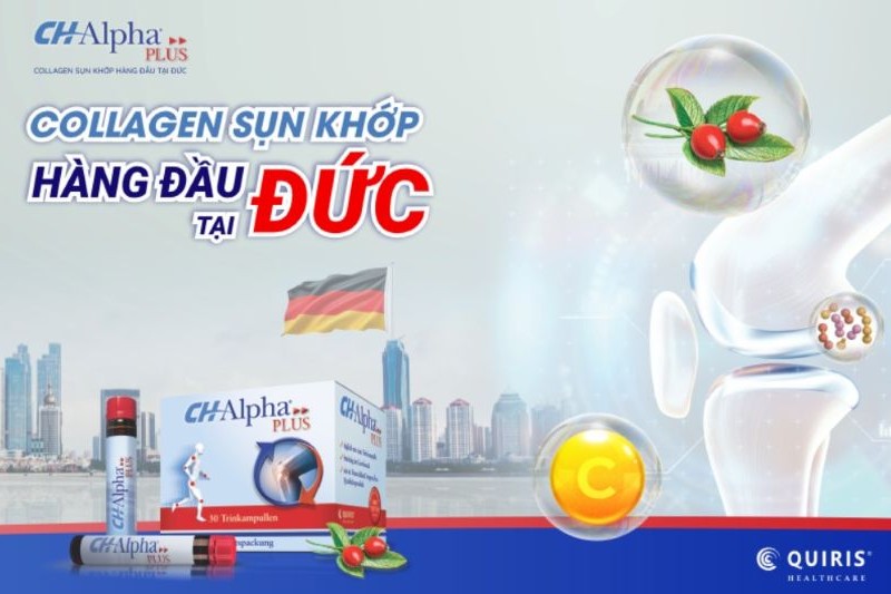 ch alpha plus là cách bổ sung collagen an toàn cho sụn khớp