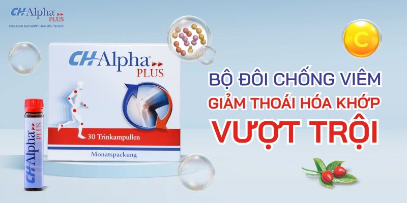 ch alpha plus cải thiện sụn khớp từ bên trong