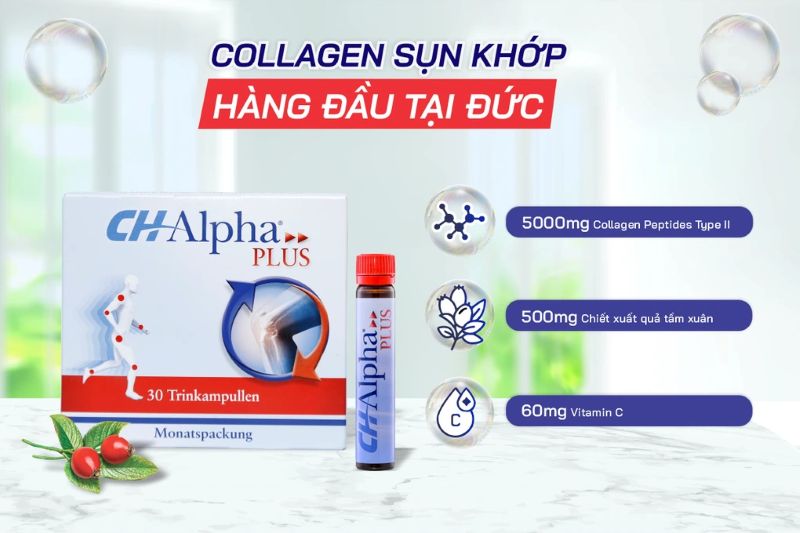 Uống CH-Alpha bao lâu thì ngưng
