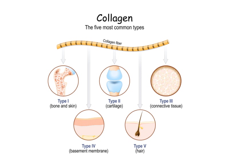 collagen CH alpha plus có làm đẹp da không