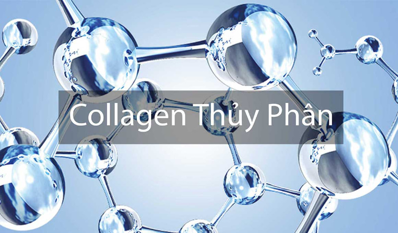 Collagen type 2 là gì