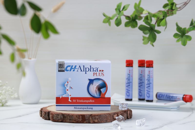 chăm sóc sụn khớp với ch alpha plus