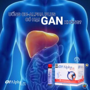 Uống CH-Alpha Plus có hại gan không